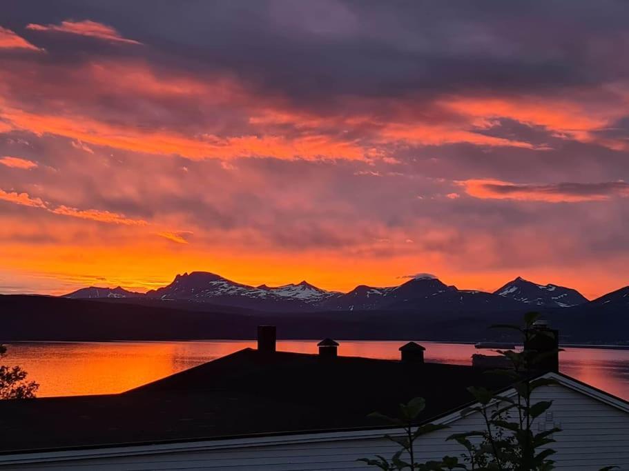Hoy Standard. Mye For Pengene. Gratis Velkomstgave Narvik Exterior photo